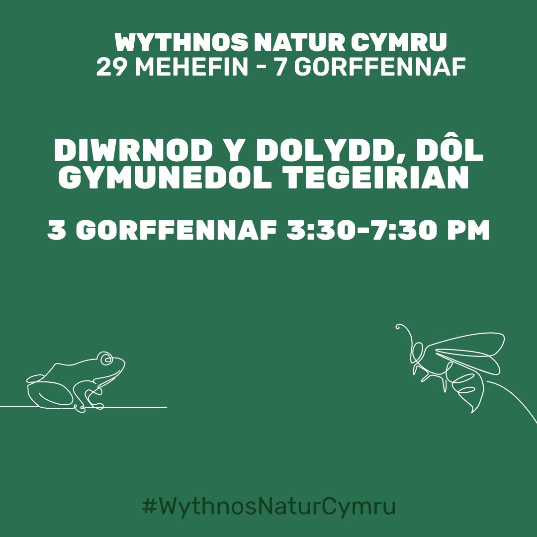 Diwrnod y Dolydd, Dôl Gymunedol Tegeirian 