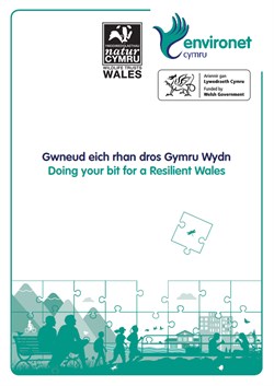 Doing Your Bit for a Resilient Wales