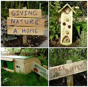 Giving nature a home