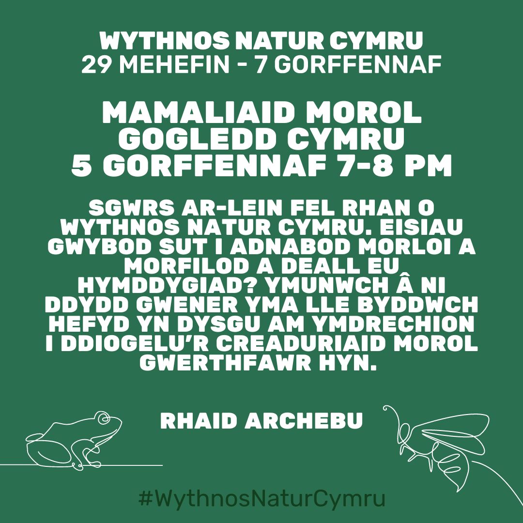 Mamaliaid Morol Gogledd Cymru