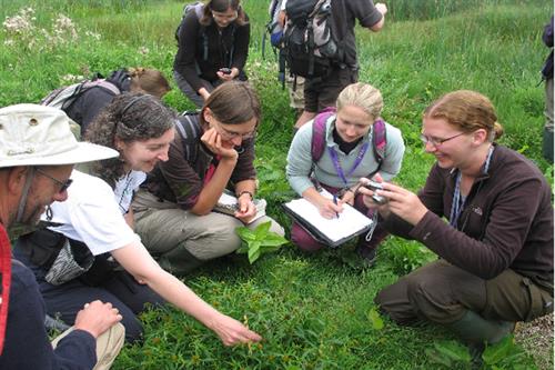 Wales Plant Register field meeting - NRW